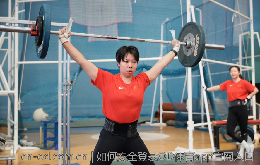 如何安全登录OD体育app官网入口