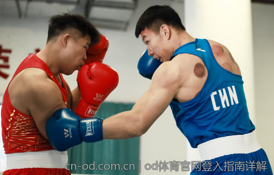 od体育官网登入指南详解