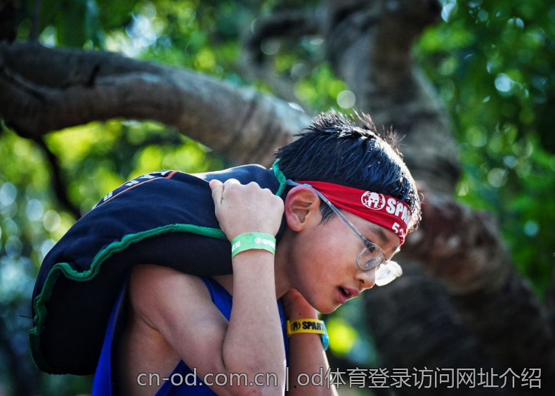 od体育登录访问网址介绍